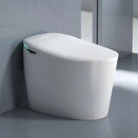 Smart Toilet One-Piece Bidet Toilet with Built-in Water Tank Multifunctional Seat Heating Dual Flush Toilet Warm Water Tankless