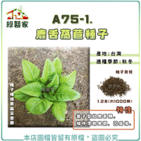【綠藝家】A75-1.鹿舌萵苣種子1.2克(約1000顆)
