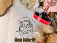 Book Stamp | From The Library of |Custom Library Stamp Flash Stamp |ex libris | book lover gift (Meo