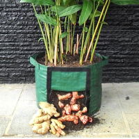 Rhizoma Planter Bag (Tanaman Rimpang-Jahe-Umbi) – Ukuran S