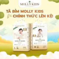 (KQ) BỈM MOLLY KIDS HÀN QUỐC MỎNG MỀM THẤM HÚT TỐT CHO BÉ