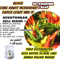 BENIH CABE RAWIT MERUNDUK SUPER LEBAT F1