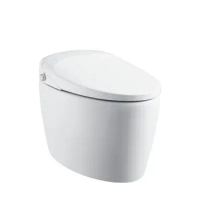 All in one Designer Automatic Bidet Bowl Intelligent Electronic Composting Smart Toilet