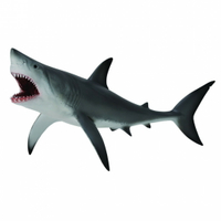 動物模型《 COLLECTA 》大白鯊
