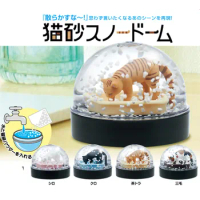 Kawaii Capsule Toys Cat Litter Snow Globe For Kitan Model Building Tiger Calico Kitten Miniature Ani