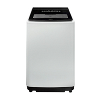 SAMPO  聲寶 13KG 單槽變頻洗衣機   ES-P13DV(G5)
