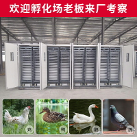 【臺灣公司優質服務】大型孵化機全自動智能蛋車型孵化器雞鴨鵝鴿養殖孵蛋器孵化箱設備
