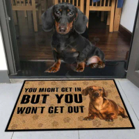 Dachshund Dog Doormat Dachshund 3D Printed My Dog Doormat Non Slip Door Floor Mats Decor Porch Doormat