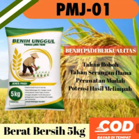 BIBIT PADI BERKUALITAS PMJ-01 Tahan Roboh & Serangan Hama 5kg Potensi Hasil Melimpah untuk Petani Et