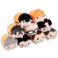 Anime Kawaii Haikyuu!! Plush Stuffed Toys Iwaizumi Hajime Haikyuu Tsum Plush Toys Dolls Gifts for Children Collection