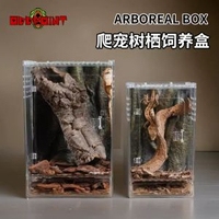 爬蟲樹棲飼養盒高透爬箱爬寵睫角守宮樹蛙蜘蛛昆蟲生態沙漠造景箱