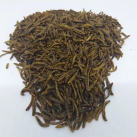 ULAT HONGKONG KERING 1KG PAKAN BURUNG IKAN HAMSTER LANDAK MINI KURA