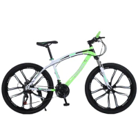 High Quality Wholesale 27 Speed Customized Cheap Adult Mountain Bike 26/24 Bicycle