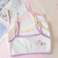 Miniset Anak Perempuan Motif Kartun Bahan Katun Import / Miniset Untuk Anak Perempuan/bra