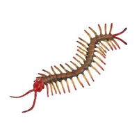 Simulated wildlife model, centipede dragon, centipede, pedipod, arthropod, children's cognitive toys