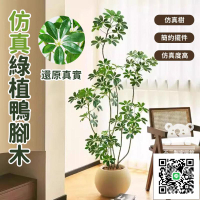 【仿真綠植鴨腳木 宅配免運】仿真樹 仿生植物 高端輕奢擺件 盆栽擺件 簡約現代擺件 大型室內落地擺件