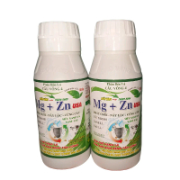 Combo 2 Chai MAGIE KẼM + BIẾN VÀNG THÀNH XANH