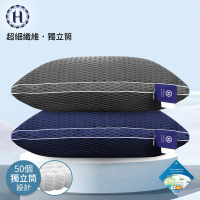 【Hilton 希爾頓】6D超涼感透氣銀離子抑菌獨立筒枕/二色任選(透氣枕/超涼/酷涼/枕頭)