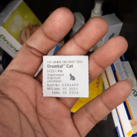 obat cacing kucing drontal cat tablet