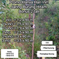 New Bonus 2 tali  jaring burung hitam, jaring burung emprit, kutilang, derkuku, pipit,    pikat buru