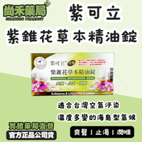 ⭐紫可立 紫錐花草本精油錠 口氣芬芳 舒喉爽聲