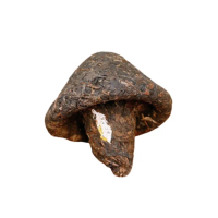 【茶韻】普洱茶2007年下關寶焰雲南緊茶蘑菇生沱茶250g*2茶葉禮盒(附茶樣10g*1.收藏盒*2)