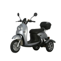 Mobility electric vehicle for elderly/ Disable /Motorized tricycle/Electric rickshaw fat tire electric tricycle motorcycle