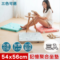 奶油獅 森林野餐-台灣製造-三入高支撐記憶聚合紓壓坐墊/沙發墊/實木椅墊(54x56cm厚5CM)