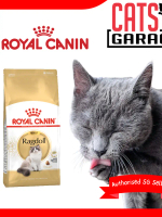 Royal Canin Feline Ragdoll Cat Dry Food 2kg
