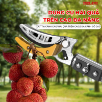 Kéo Cắt Tỉa Cây Cảnh, Cắt Cành, Kéo Hái Hoa Quả Trên Cao Delixi Tiện Lợi, Bền Bỉ