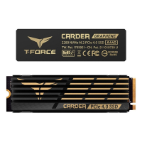 十銓 T-FORCE A440 黑曜女神(雙散熱) 1TB M.2 PCI-e Gen4 SSD