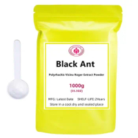 50-1000g Tttyruei / Polyrhachis Vicina Roger / Black Ant