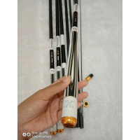 Joran Tegek Daiwa Hamon 540