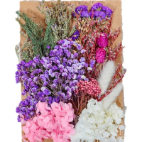 【A-ONE 匯旺】DIY材料包 乾燥花材料包 滿天星 聖誕節 情人節永生花乾燥 乾燥花 浮游花材 教學乾燥花(C03)