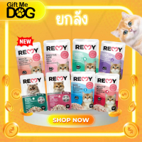 (โหล12ซอง)REMY Cat เรมี่ อาหารเปียกแมว ขนาด70g ขายแบบโหล12ซอง