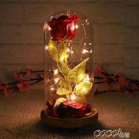 永生花  玫瑰花禮盒帶燈乾花玻璃罩生日禮物 雙十一購物節