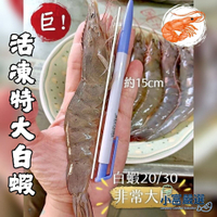 【小富嚴選】活凍白蝦 特大號 大白蝦 生白蝦 。20/30生白蝦 紅太陽 紅太陽白蝦 生白蝦 活凍白蝦 20/30 30/40