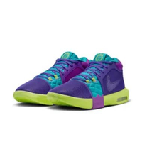 Sepatu Basket Nike LEBRON WITNESS VIII EP FB2237-500 12