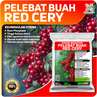 Pupuk Pelebat Buah Ceri Bluebery  Roseberry Arben - Booster Super Lebat