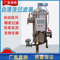 【台灣公司 可打統編】不銹鋼304碳鋼自清洗過濾器全自動反沖洗雨水過濾器壓差時間控制