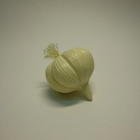 《食物模型》蒜頭 蔬菜模型 - B2006