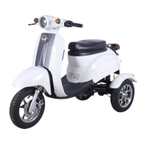 Super Safety 3-Wheel Electric Scooter for Elderly with Limited Mobility Smart Electronic Type Motorcycle Tricycle