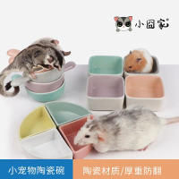 อ่างอาหารเซรามิกสำหรับสัตว์เลี้ยงขนาดเล็ก, ชามข้าว, อ่างอาหารแบบป้องกันการพลิกคว่ำ, เหมาะสำหรับหนูสา