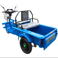 Electric Tricycle Truck New Household Battery Tricycle Scooter Load Small Freight Platform Trolley
