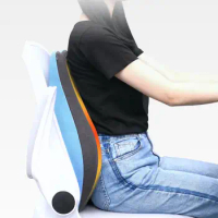 Posture Support Cushion Ergonomic Memory Foam Lumbar Support Pillow for Lower Back Pain Relief Office Chair Cushion for Travel