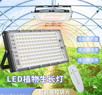全光譜led植物補光燈400W多肉花卉種植投光燈仿太陽光生長燈