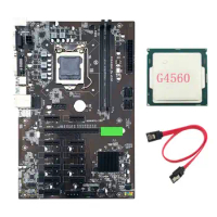B250 BTC Mining Motherboard with G4560 CPU+SATA Cable LGA 1151 DDR4 12XGraphics Card Slot SATA3.0 for BTC Miner Mining