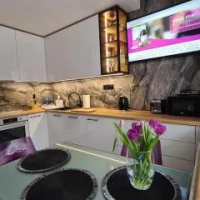 住宿 Modlin Deluxe Suite 馬佐夫舍地區新莊園