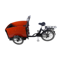 Pedal Electric Cargo Bike 3 Wheels Dutch Adult Tricycle Family Bicycle Street Kids Scooter for Sale