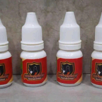 Gempar konslet exstrim penggacor